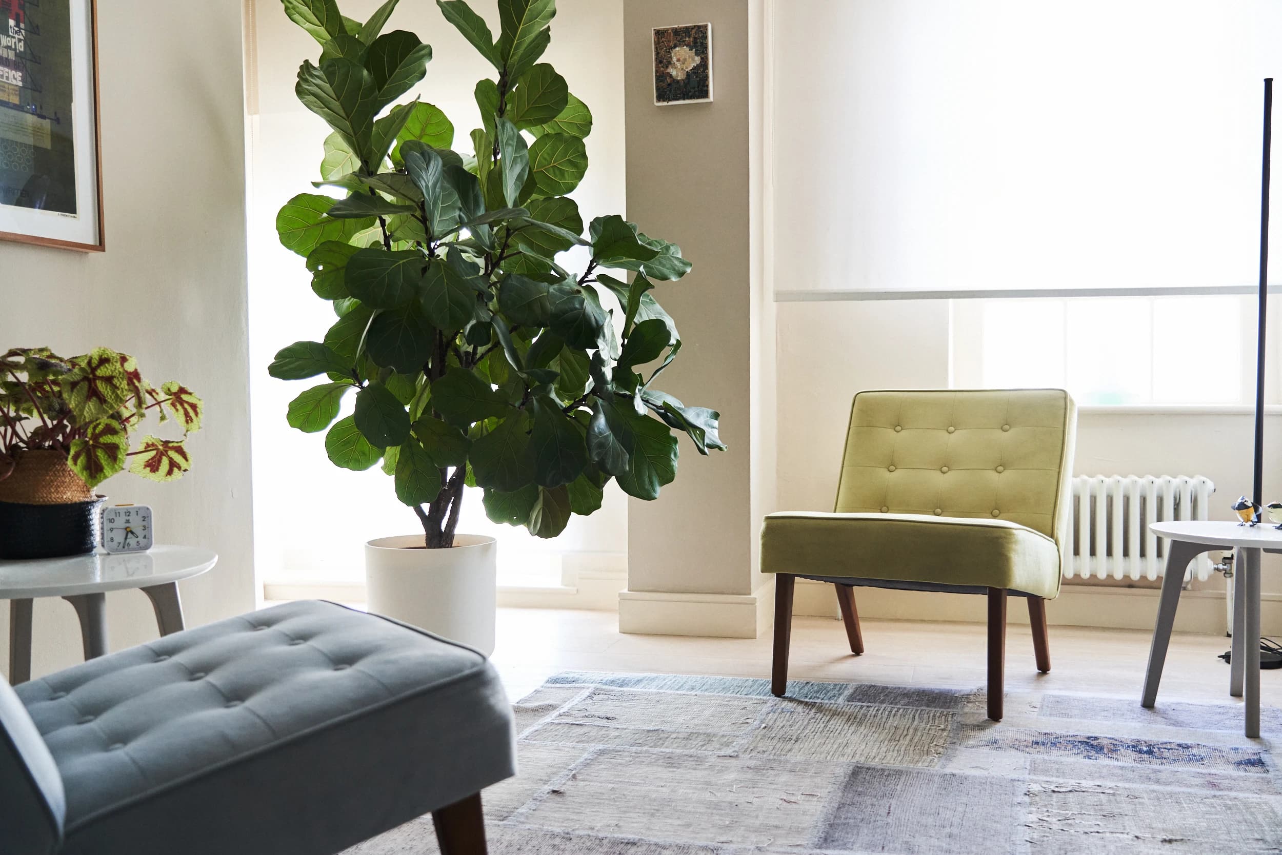Paul Christelis therapy room